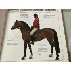 Mijn eerste paardenboek, nieuw
