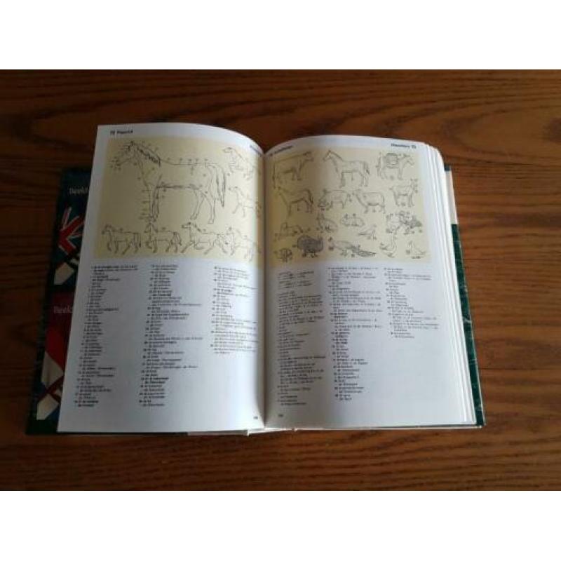 Wolters’ Beeld-woordenboek DUITS en NEDERLANDS