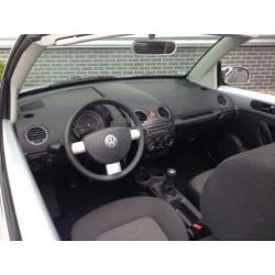 Volkswagen New Beetle Cabriolet ( 7 beetle cabrio op voorraa