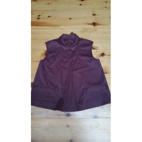 Paarse Cos blouse 38.
