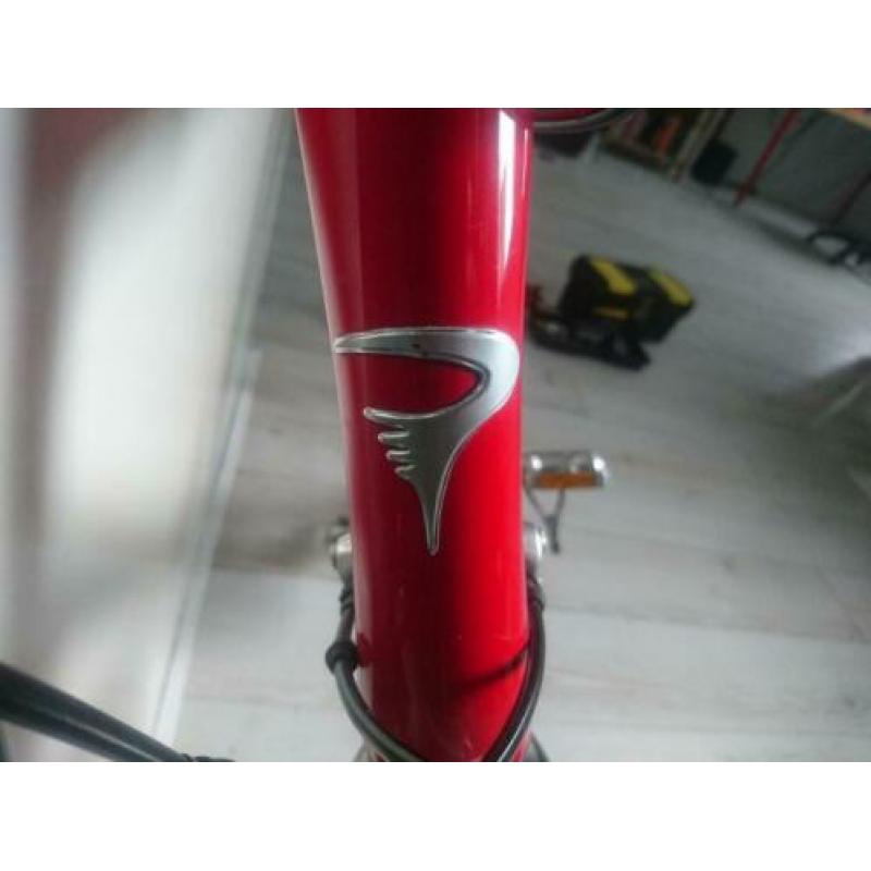 Pinarello Racefiets Campa Chorus