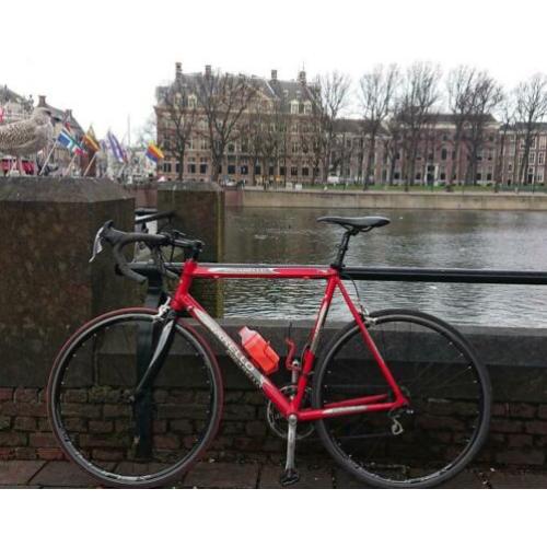 Pinarello Racefiets Campa Chorus