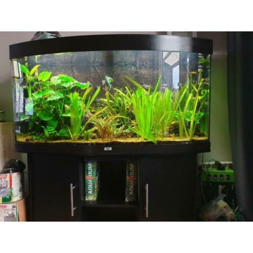 Aquarium met veel toebehoren