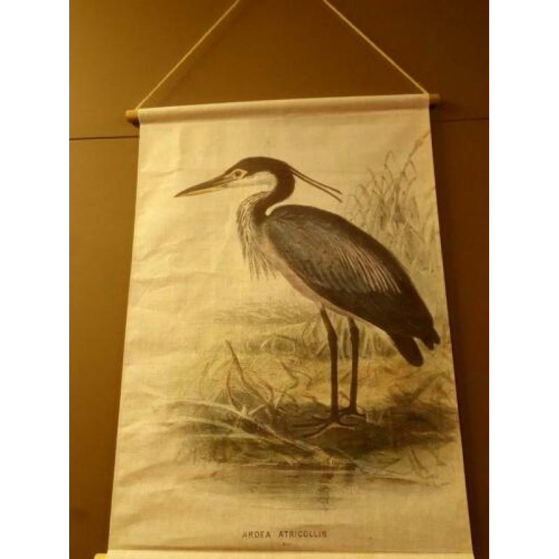 Vintage look platen blauwe ekster/reiger nieuw