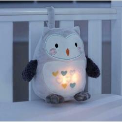Ollie de owl