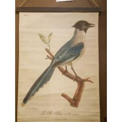 Vintage look platen blauwe ekster/reiger nieuw