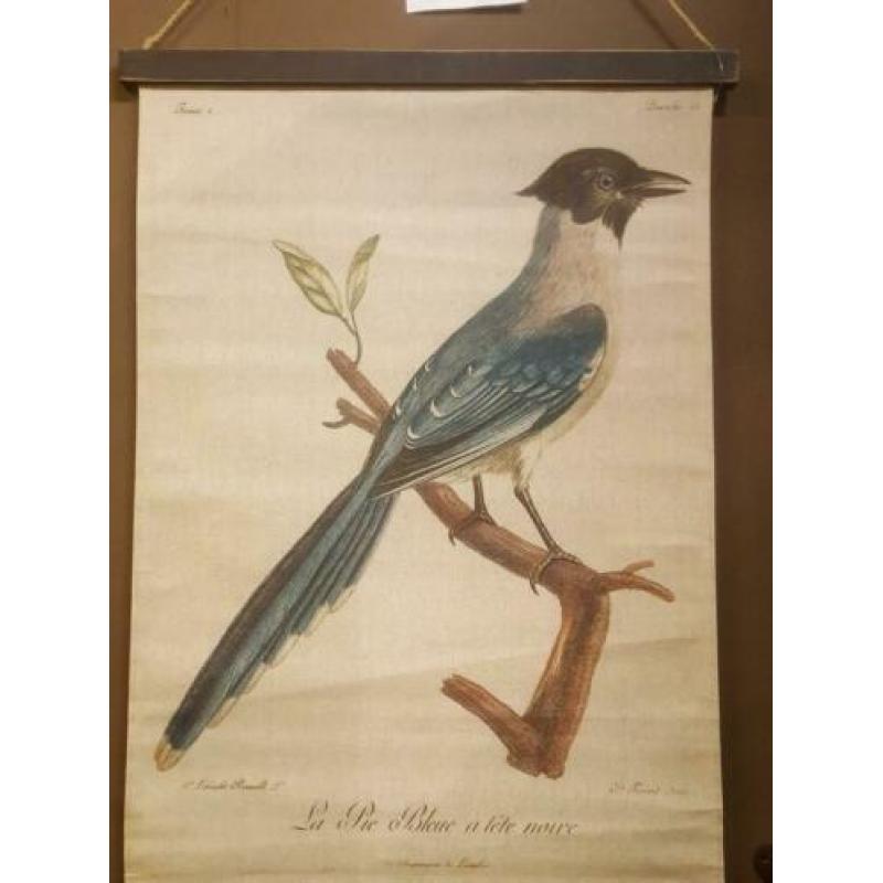 Vintage look platen blauwe ekster/reiger nieuw