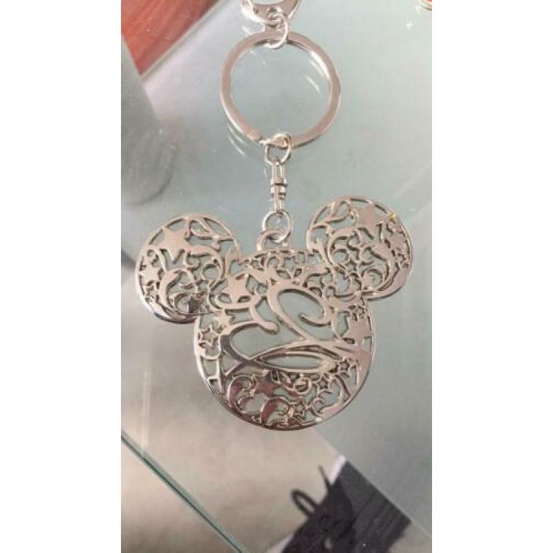 Uit Disney world Orlando mini mousse broche