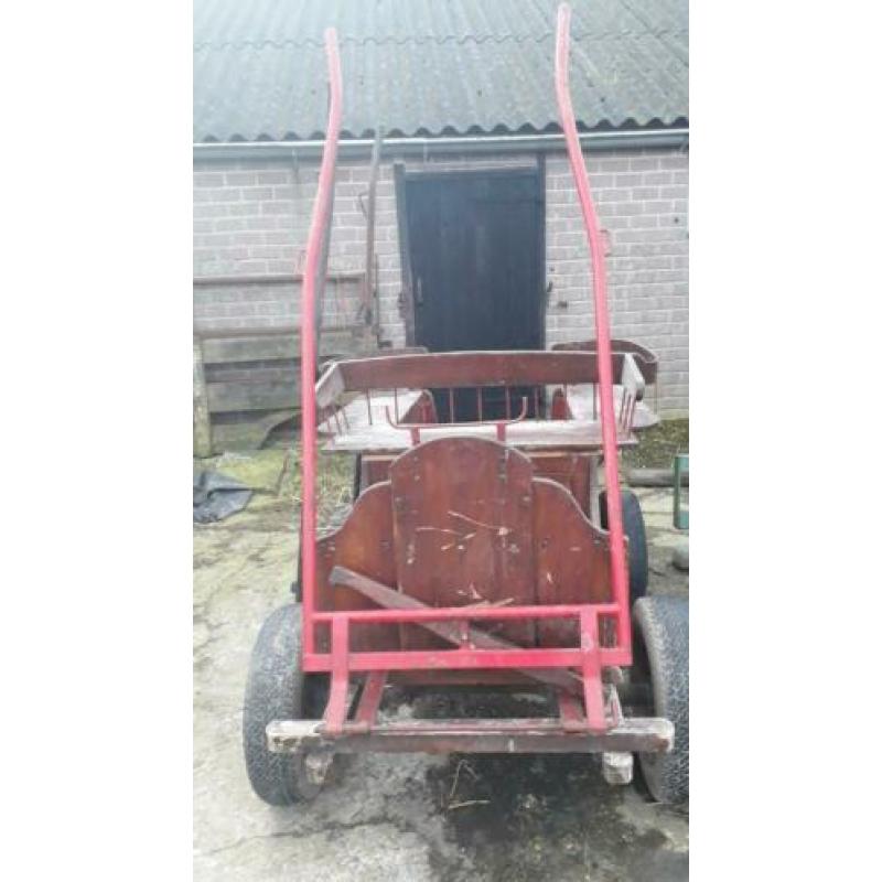 Menwagentje met 2x limoen voor pony tussen 115 en 150cm m
