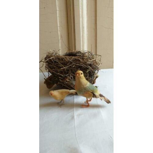 Oude watten vogeltjes