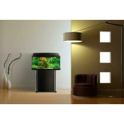 Classic aquarium 60, 80, 100,120 en 150 cm breed, incl. led