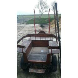 Menwagentje met 2x limoen voor pony tussen 115 en 150cm m