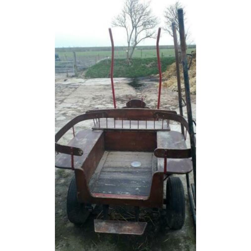 Menwagentje met 2x limoen voor pony tussen 115 en 150cm m