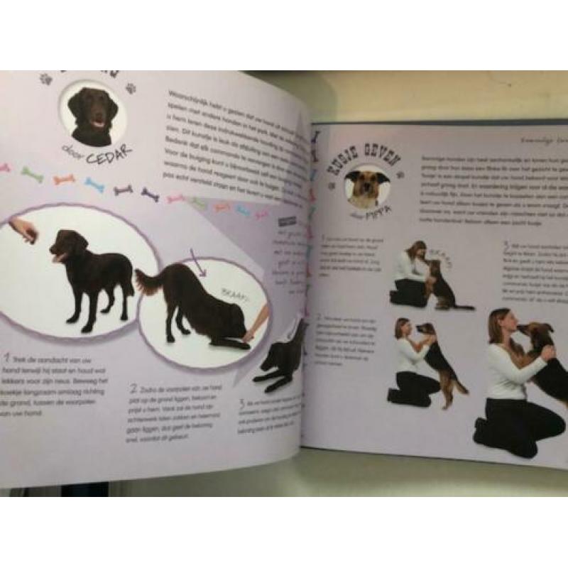 BRAAF leer je hond kunstjes NIEUW hardcover