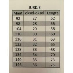 ?? Jurkje met schoen en muizen maat 128