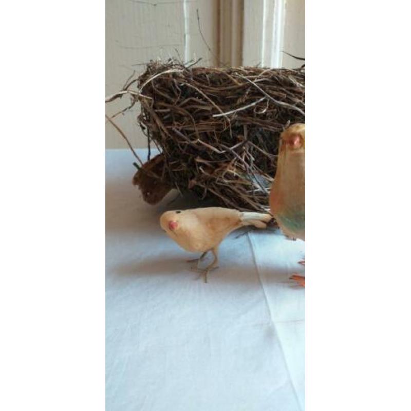 Oude watten vogeltjes
