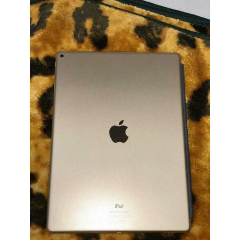 Ipad Pro 12,9 Inch in de kleur Goud
