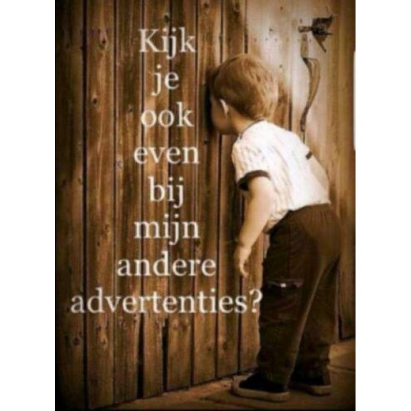 Het grote Vaardigheden Boek nieuw