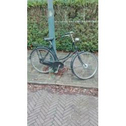 Gazelle Basic