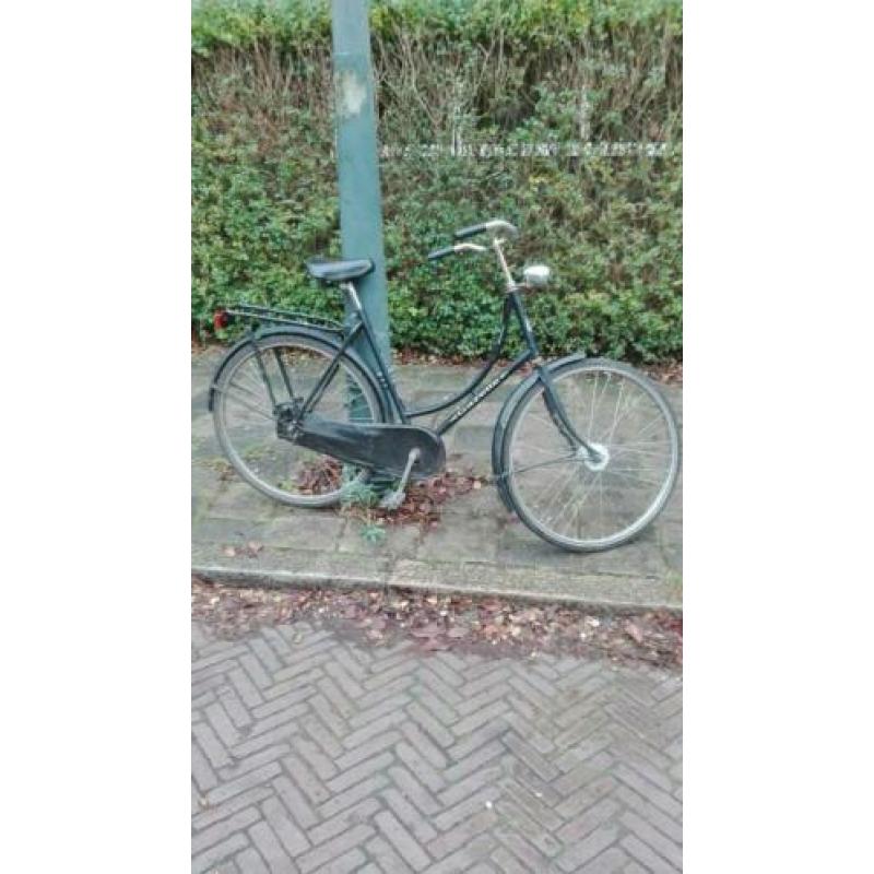 Gazelle Basic