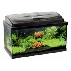 Classic aquarium 60, 80, 100,120 en 150 cm breed, incl. led