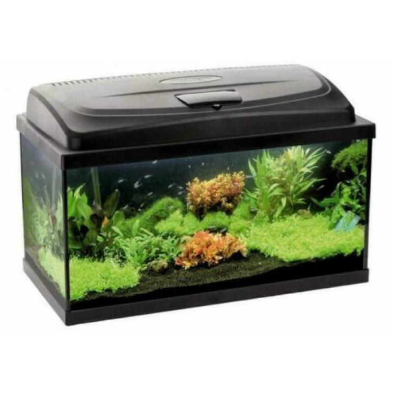 Classic aquarium 60, 80, 100,120 en 150 cm breed, incl. led