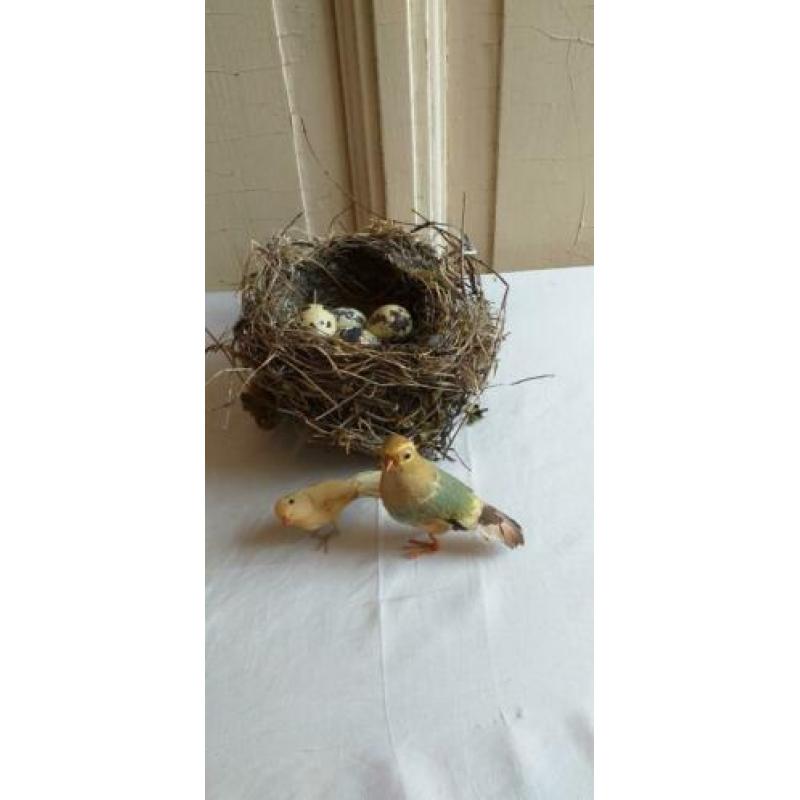 Oude watten vogeltjes
