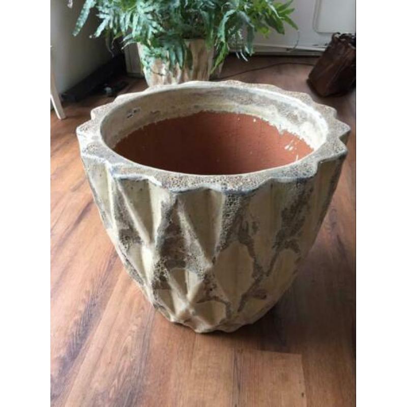 PTMD plantenpot