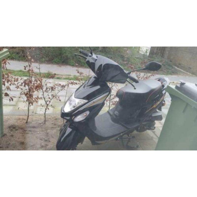 Senzo urban scooter