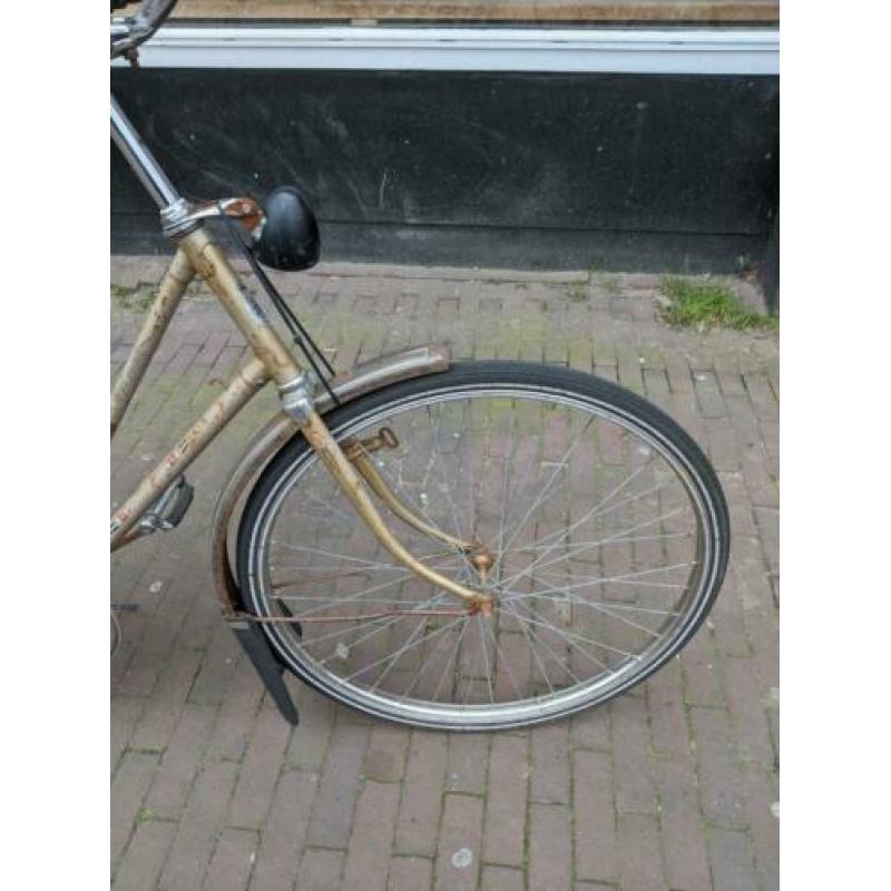 Golden Gazelle