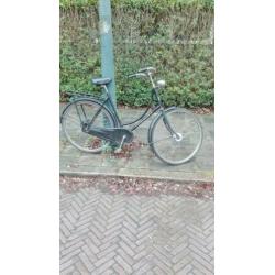 Gazelle Basic