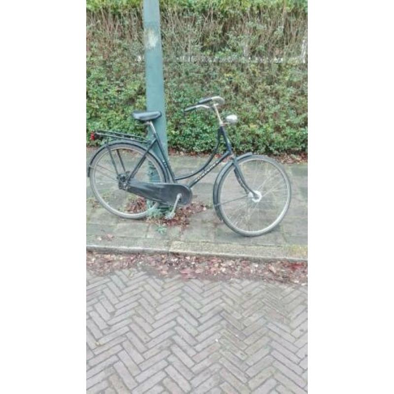 Gazelle Basic
