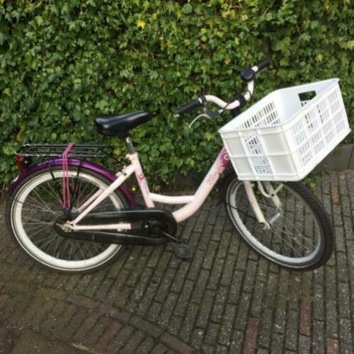 Alpina fiets 22 inch om op te knappen
