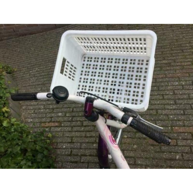 Alpina fiets 22 inch om op te knappen