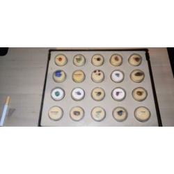 verzameling mineralen en edelstenen