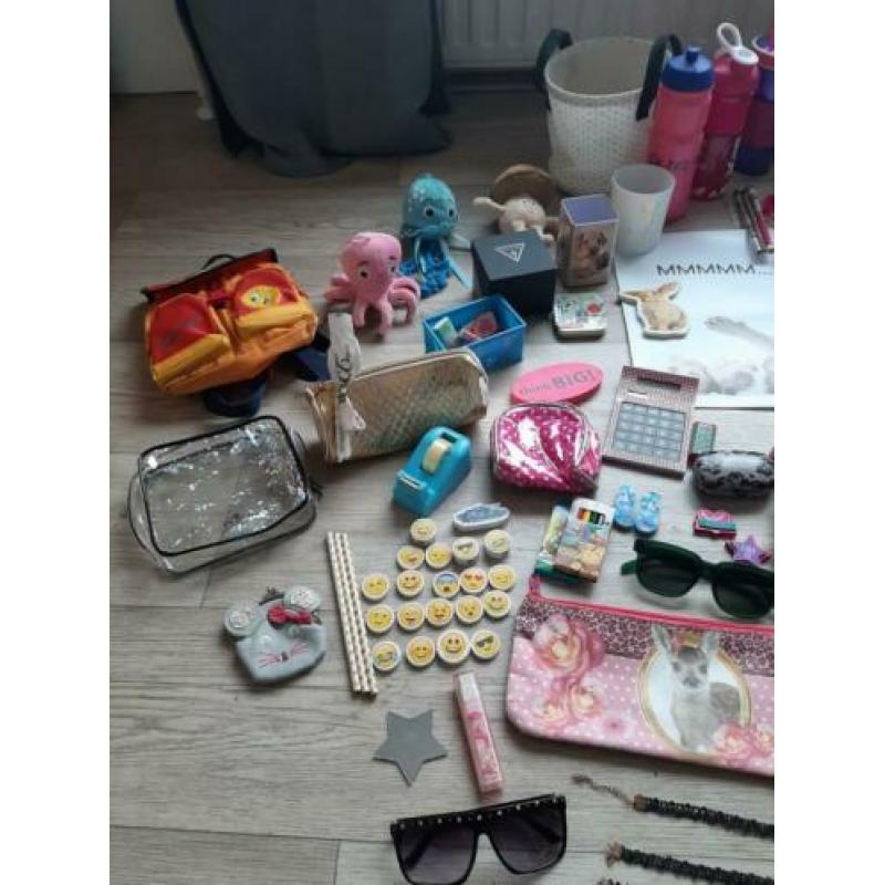 Leuke meiden rommelmarkt spullen hebben dingen