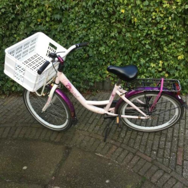 Alpina fiets 22 inch om op te knappen