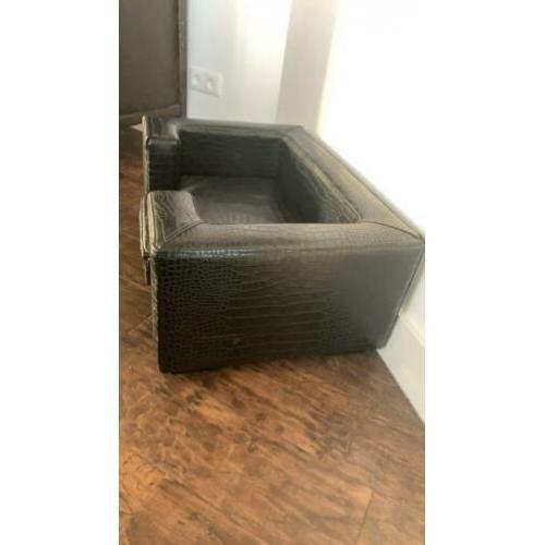Hondenmand chihuahua formaat
