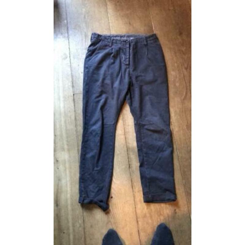 Broek November
