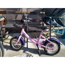 Pegasus fiets 12 inch ZGAN