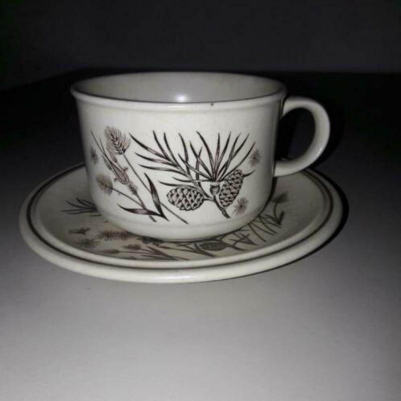 Pinewood servies W.H. Grindley made in England