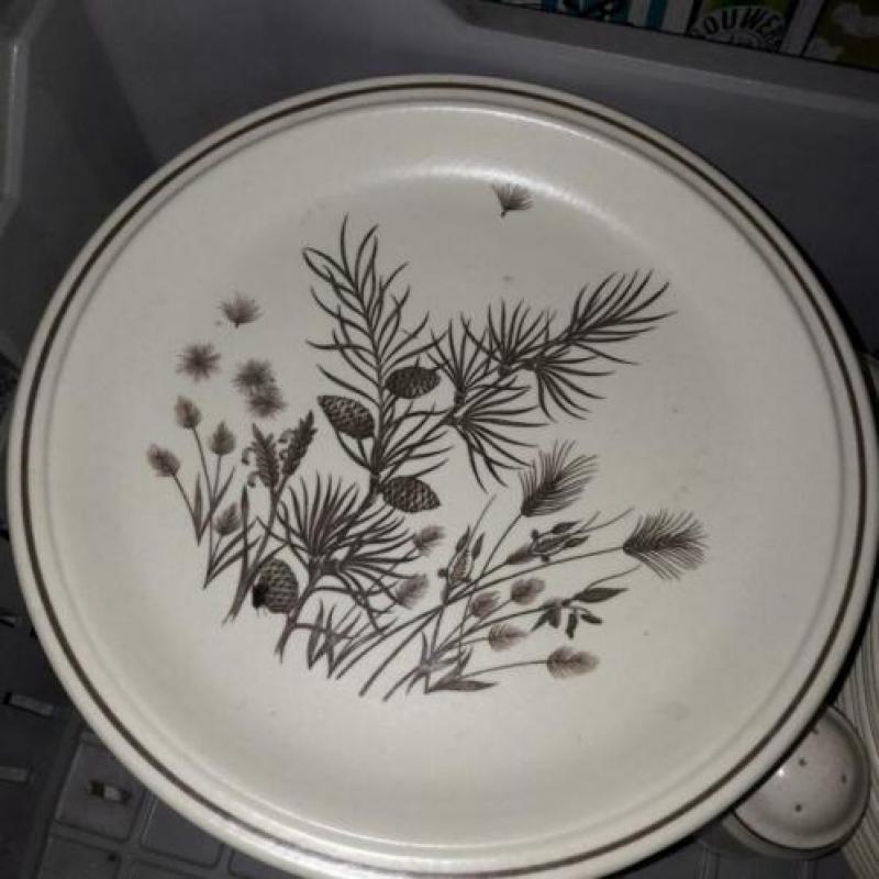 Pinewood servies W.H. Grindley made in England