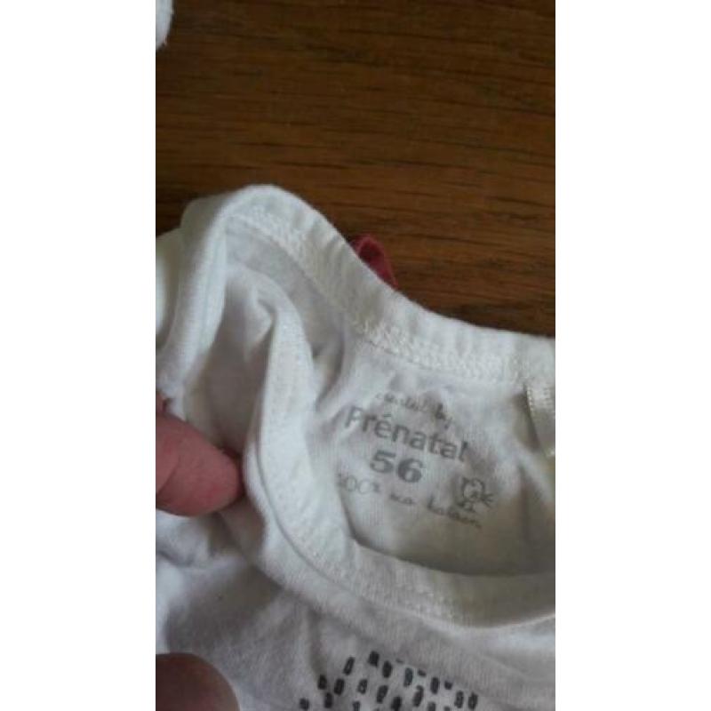 Prenetal maat 56 j/m