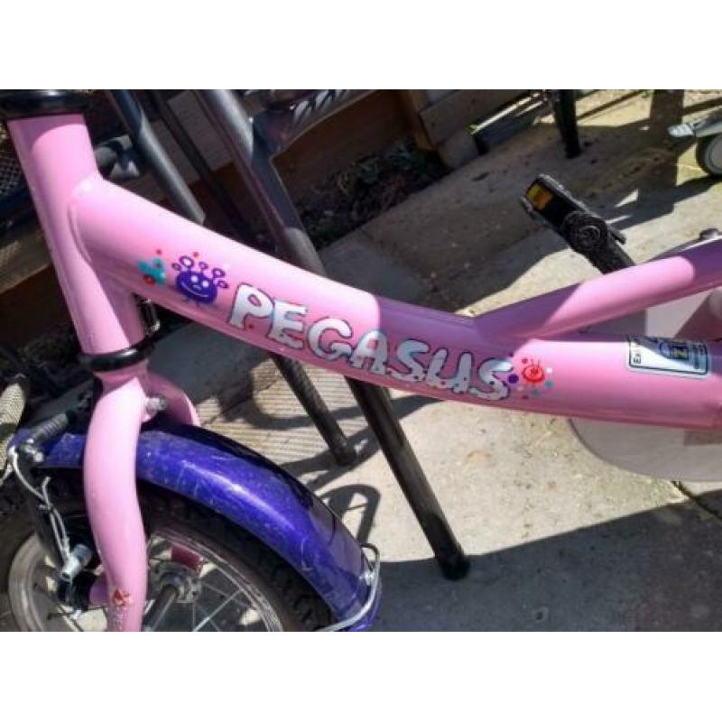 Pegasus fiets 12 inch ZGAN