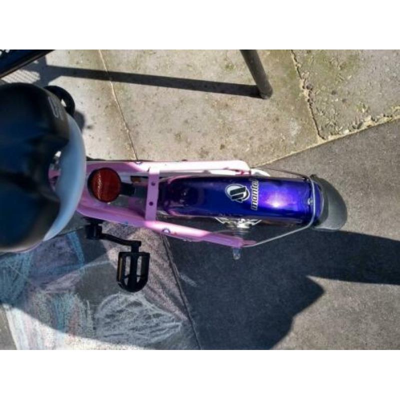 Pegasus fiets 12 inch ZGAN