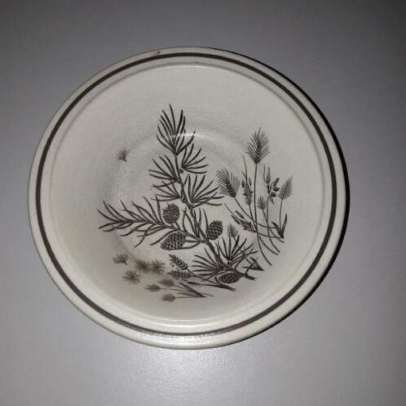 Pinewood servies W.H. Grindley made in England