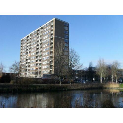 Te huur: een net 4 kamer-appartement in de wijk de Wijert