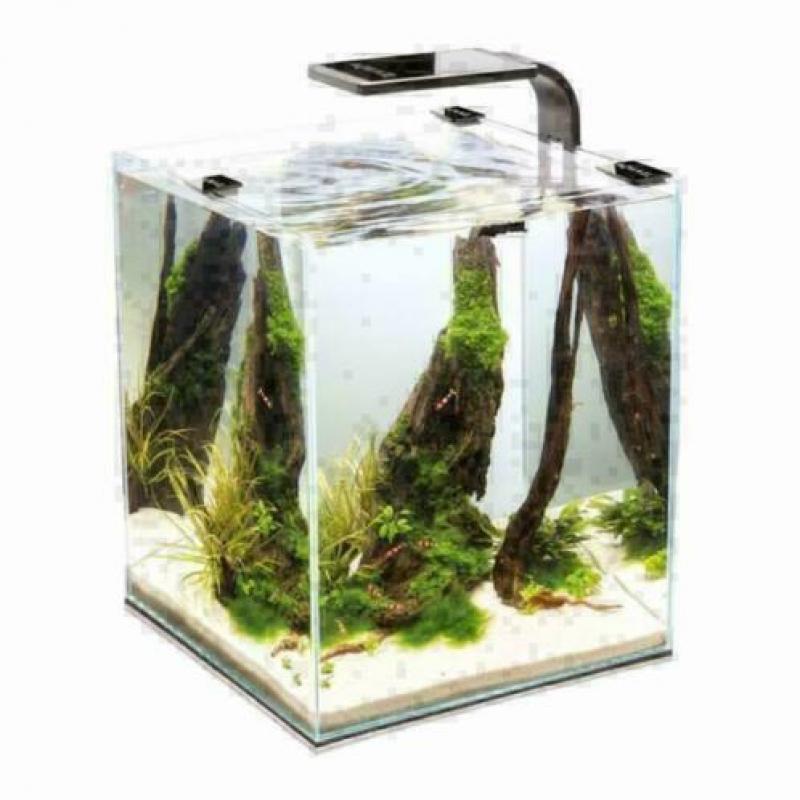 nano cube , nergens goedkoper! diverse merken nano aquaria