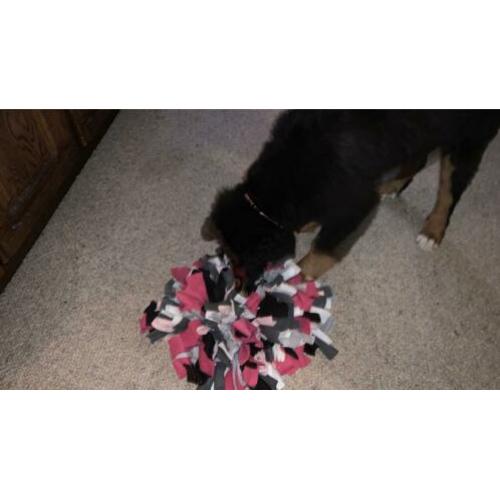 Nieuw!! Snuffelmat/ Snuffelkleed voor honden en puppy’s