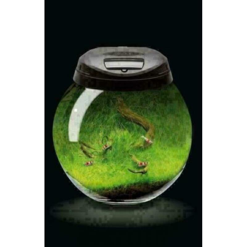 nano cube , nergens goedkoper! diverse merken nano aquaria
